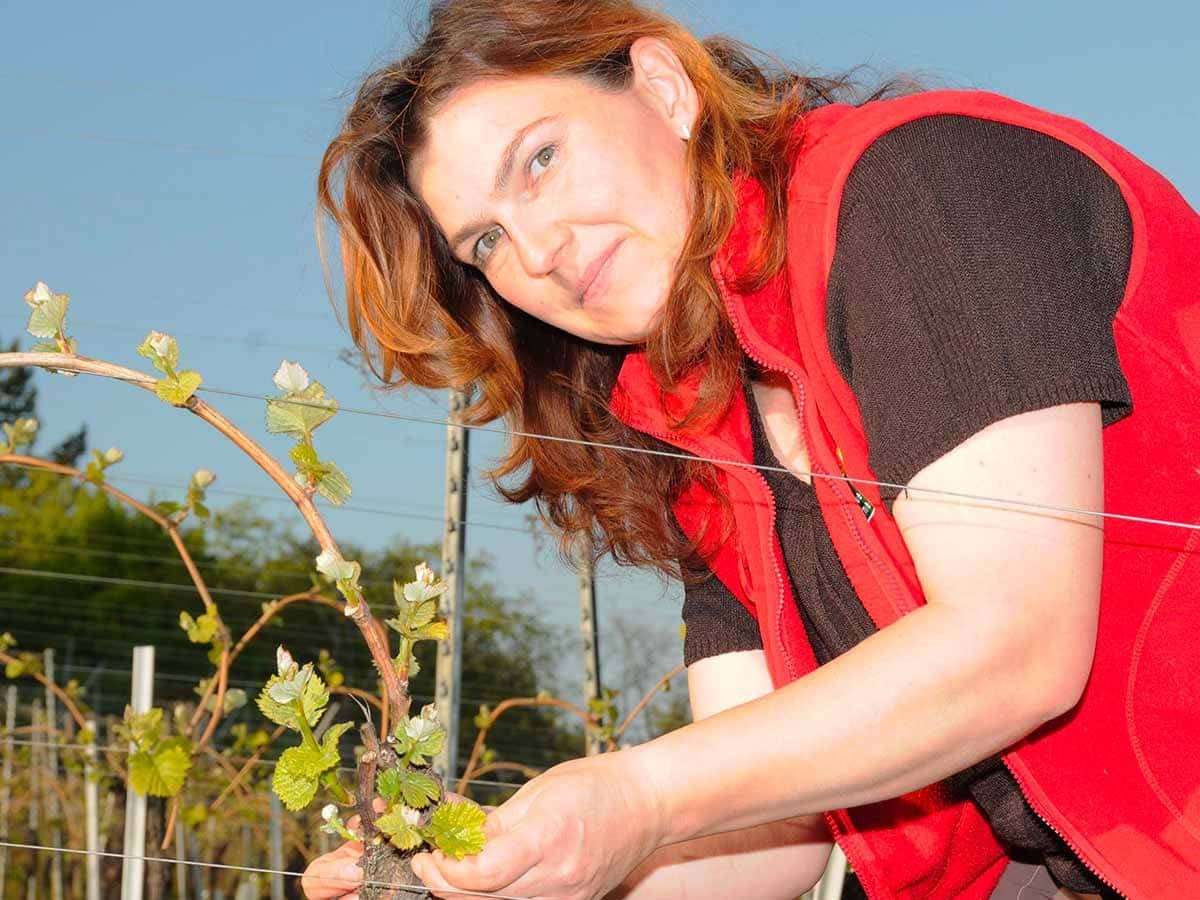 Osez le vin au féminin