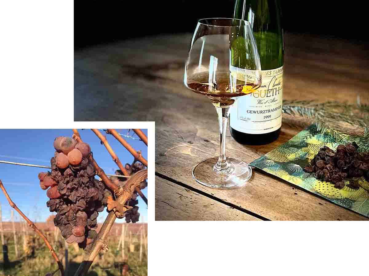 Weintourismus im Elsass, Kellerbesichtigung, Weinprobe 35 Dégustation Les secrets de vendanges tardives au Domaine Gueth