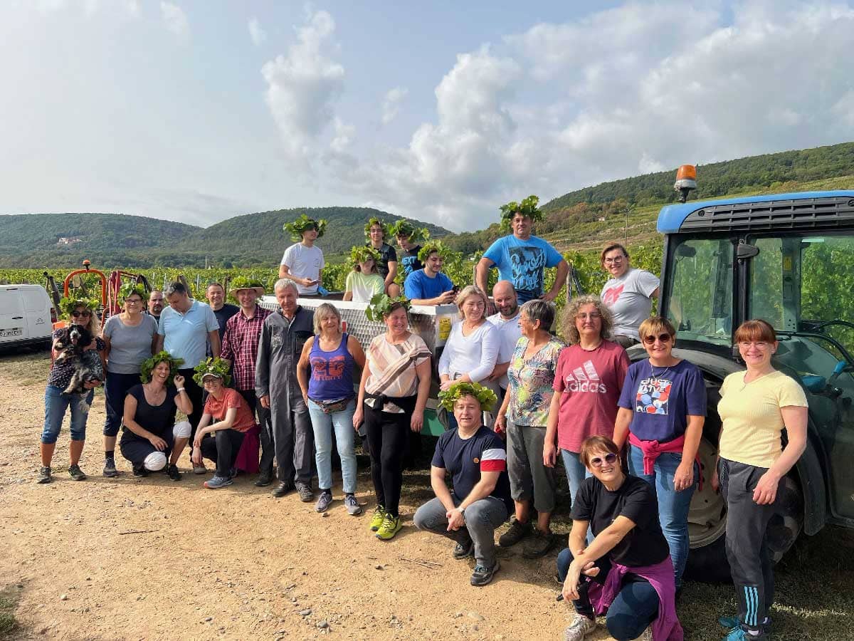 Vendangeur d'un jour au domaine GUETH