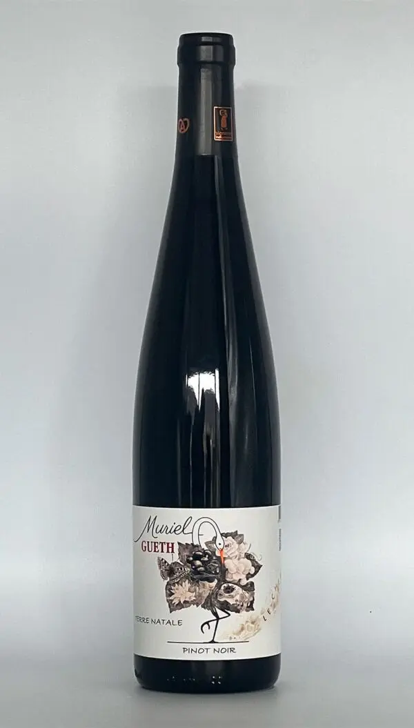Pinot noir barrique bio vieilli en fût de chêne Domaine Gueth