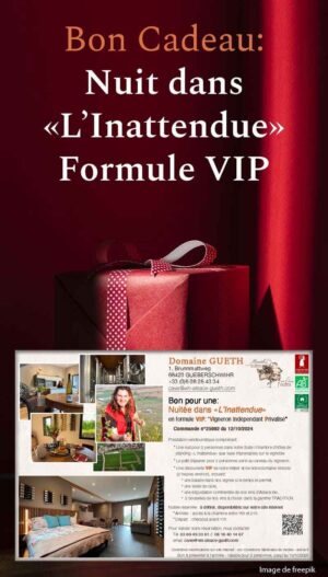 Bon cadeau : Une nuit dans la suite premium « L’Inattendue » pour 2 personnes en formule VIP
