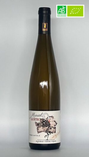 Sylvaner vieilles vignes domaine Gueth