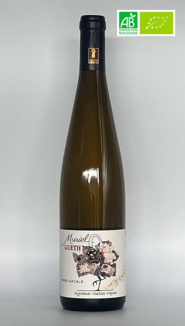 Sylvaner vieilles vignes domaine Gueth