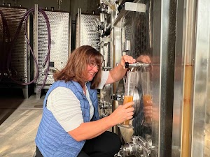 Domaine Gueth - Vins d'Alsace Bio, oenotourisme et chambre d'hôtes, à côté de Colmar et Eguisheim place picture