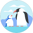 Lilou Sarraute profile picture