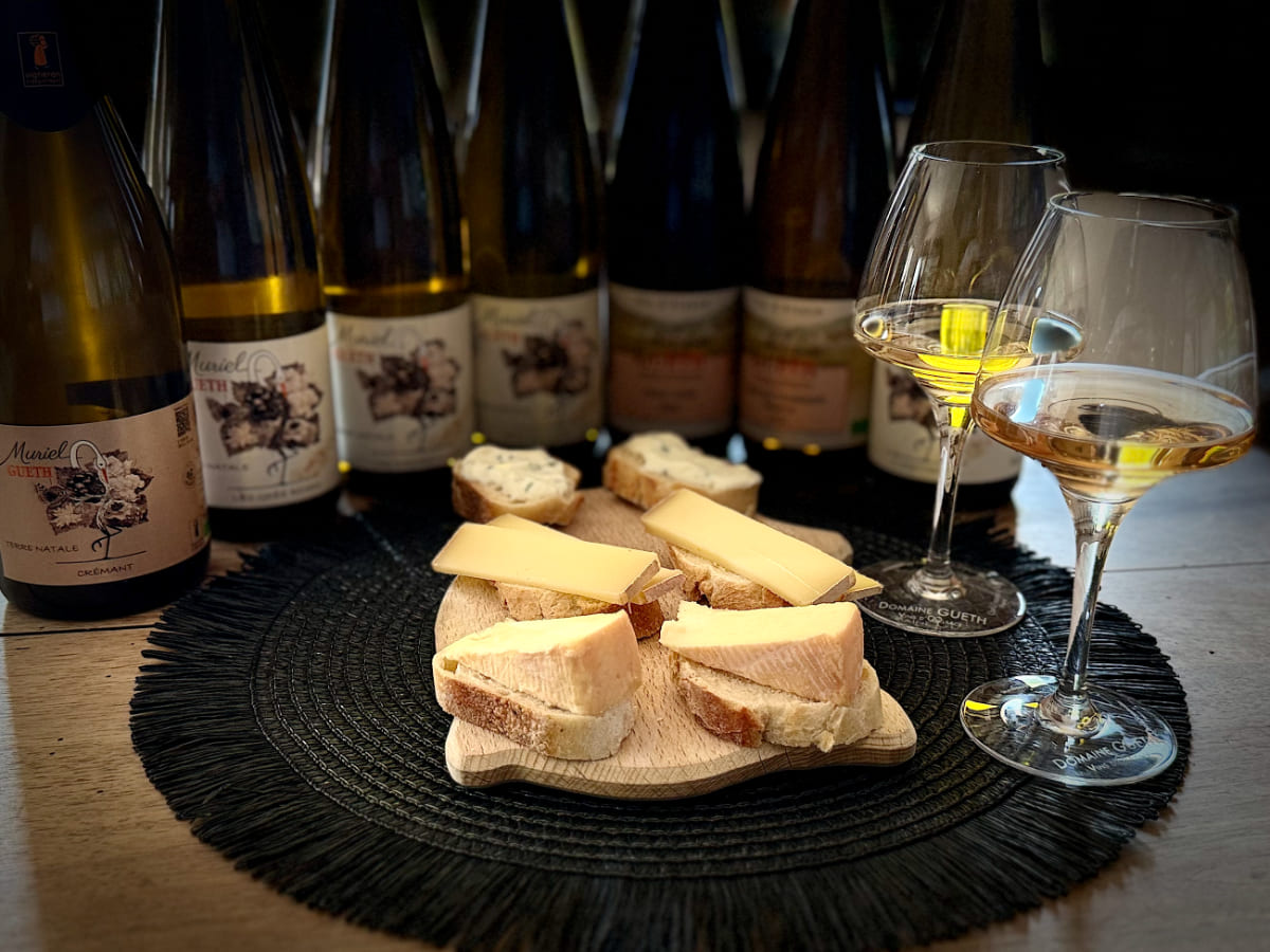 Vins d'Alsace bio à Gueberschwihr, dégustation, oenotourisme et séjours et une touche féminine 11 IMG 6691 1200x900 rev.1 1