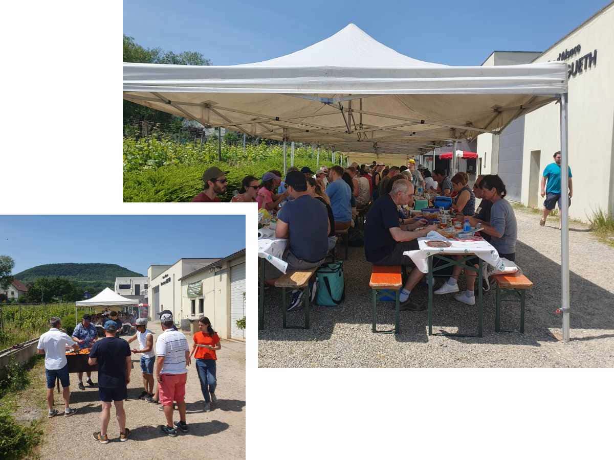 Weintourismus im Elsass, Kellerbesichtigung, Weinprobe 29 Pique-nique chez la vigneronne au Domaine Gueth