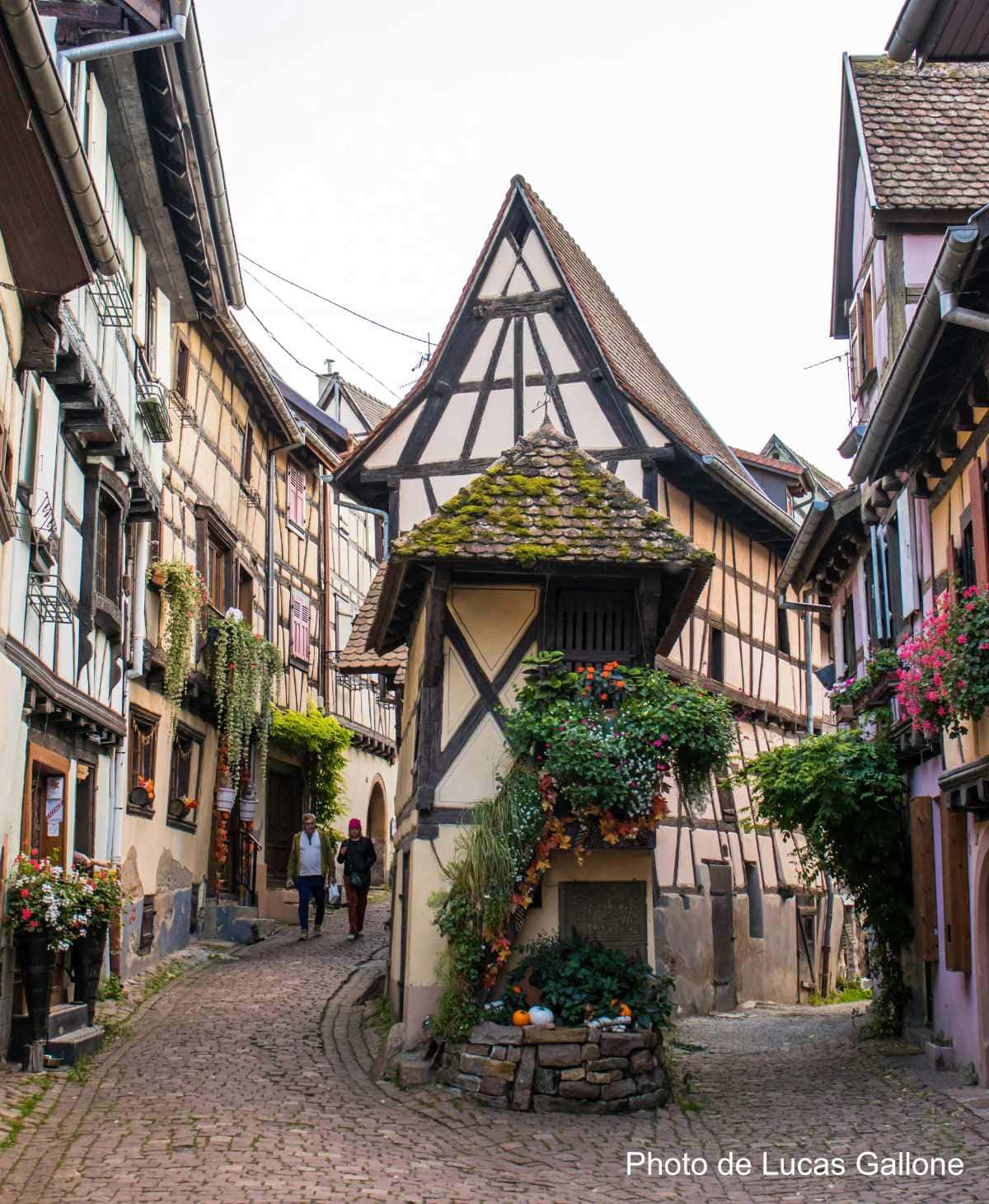 Weintourismus im Elsass, Kellerbesichtigung, Weinprobe 45 Rue d'Eguisheim
