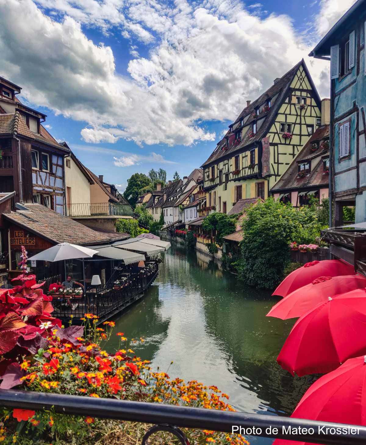 Weintourismus im Elsass, Kellerbesichtigung, Weinprobe 44 Rue de Colmar